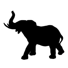 Fototapeta premium Silhouette of a big elephant animal. Silhouette of a wild elephant animal.