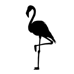 Silhouette of a flamingo bird animal in elegant pose.