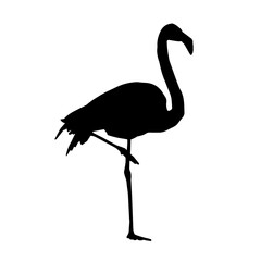 Silhouette of a flamingo bird animal in elegant pose.