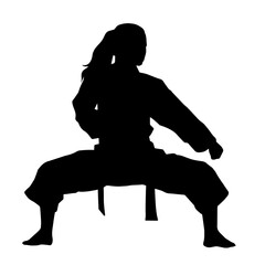 Silhouette of a female fighter doing martial art pose. Silhouette of a woman in martial art pose.