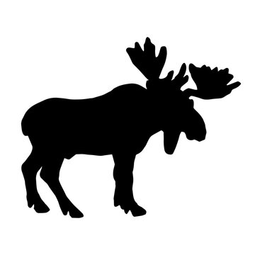 Silhouette of a wild moose animal isolated on white background.