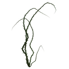A 3d rendered illustration of thorny branches as an overlay 
