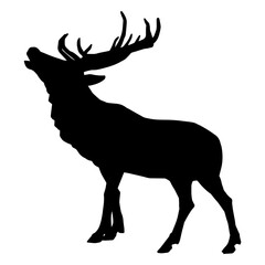 Silhouette of a deer wild forest animal with antlers.
