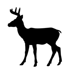 Silhouette of a deer wild forest animal with antlers.