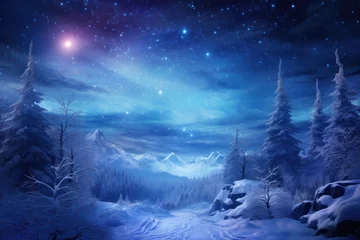 Foto op Aluminium Frozen winter wonderland with sparkling snowflakes and aurora borealis. © Jelena