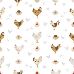 Australorp Chicken breeds seamless pattern. Poultry and farm animals. Different colors set