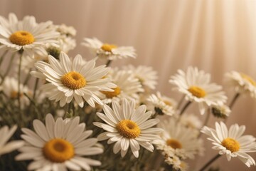 Obraz premium Elegant aesthetic chamomile daisy flowers pattern with sunlight shadows on neutral beige background with copy space 
