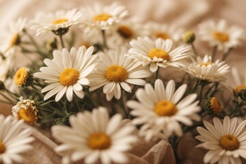 Fototapeta premium Elegant aesthetic chamomile daisy flowers pattern with sunlight shadows on neutral beige background with copy space 