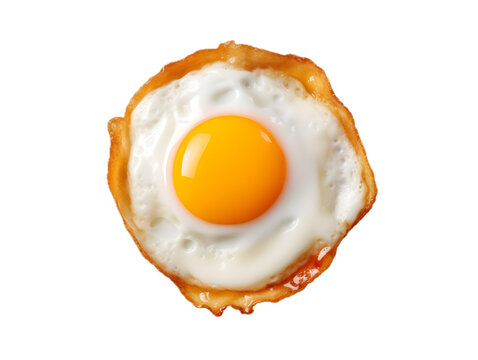 Fried egg png images