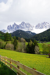 Fototapeta na wymiar Rural pathway road and hedge fence with Santa Maddalena Landscape at Val di Funes, land of the pale mountains and beautiful valley in the Dolomites one of UNESCO World Heritage- South Tyrol, Italy