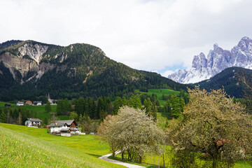 Landscape of Santa Maddalena and exterior village buildings at Val di Funes, land of the pale mountains and beautiful valley in the Dolomites also one of UNESCO World Heritage site- South Tyrol, Italy