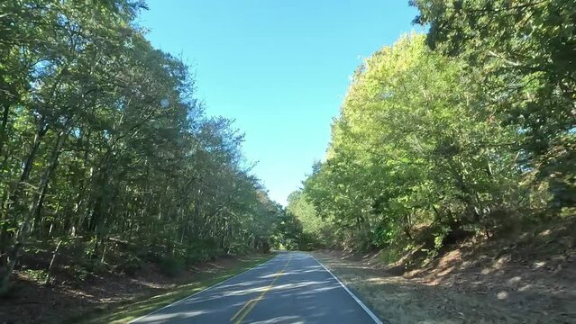 Driving down the Natchez Trace Parkway