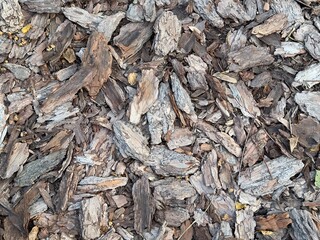Tree bark decorative texture.  Lots of old tree bark.  Shredded brown tree bark for decoration and soil mulching or for a playground.