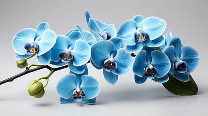 Fototapeta na wymiar 3d rendered photo of flower made with generative AI