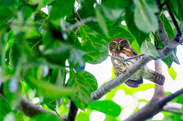 I see you