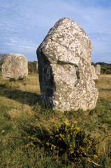 Alignements, menhir,  Carnac,  Morbihan, Bretagne, 56, France