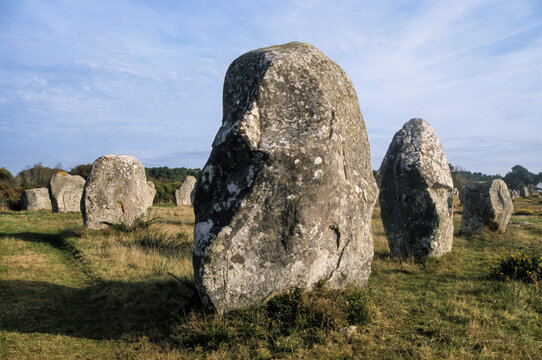 Alignements, menhir,  Carnac,  Morbihan, Bretagne, 56, France