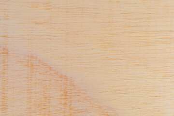 Light rough textured cut surface of an African tree. Wood background or blank for design