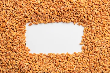 Tuinposter Abstract background like copy space surrounded by grains of wheat. Concept of grain deal and world food security © Iurii Gagarin