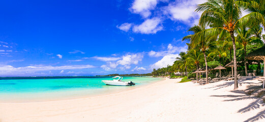 Best tropics destination . Exotic tropical beach scenery. Mauritius island. Belle mare beach - obrazy, fototapety, plakaty