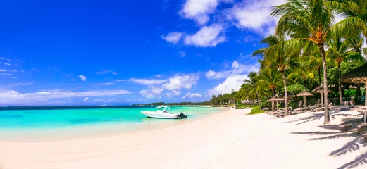 Foto auf Leinwand Best tropics destination . Exotic tropical beach scenery. Mauritius island. Belle mare beach © Freesurf