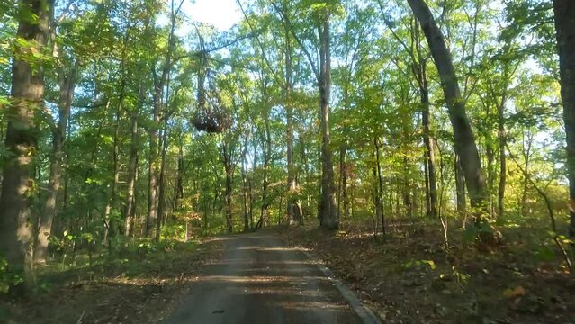 Driving down the Natchez Trace Parkway