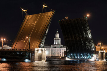 Fototapeta na wymiar Kunstkamera museum in Saint Petersburg at night