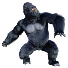 Fototapeta premium 3D Rendering Black Gorilla Ape on White