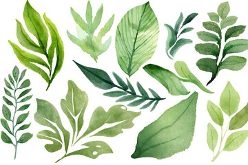 Fototapeta na wymiar Watercolor set of green leaves. Hand drawn. Generative AI