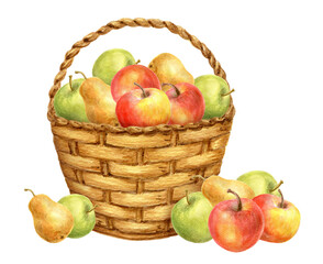 Basket with apple and pear fruits. Thanksgiving or Harvest Day card design. Watercolor drawing.