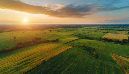 Fototapeta na wymiar aerial view of verdant agricultural fields in countryside golden sunset over vast rural farmland drone perspective lush green crop stretching to horizon aerial landscape
