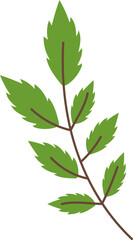 green leaves isolated on white