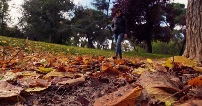 Walking at a park in autumn season