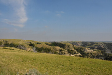 Summer Landscape in the North Unit of Theodore Roosevelt National Park