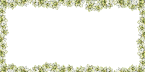 Watercolor dahlia flowers seamless horizontal background. Blooming flower garden. Design for baby shower party, birthday, cake, holiday celebration design, posters, greetings card, invitation.