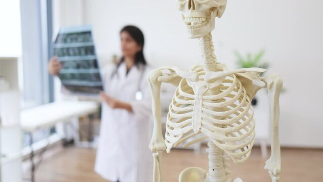 Blurred background of concentrated nurse standing and holding x-ray in hands during examination in medic room. Focus on model of human skeleton attached with help of holder.