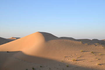 Fototapeta na wymiar Desert landscape at morning with copy space, United Arab Emirates (UAE), Middle East