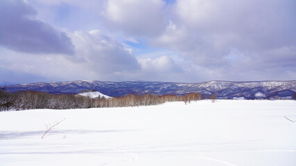 Fototapeta na wymiar 北海道雪景色