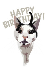 Happy birthday card with animal and text. Present for a cat lover. Funny cartoon curious cat illustration. Minimalistic birthday card with three cats, text. Holiday present, feline topic.