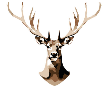 deer head isolated png transparent