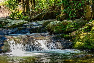 River and small waterfall inside the vegetation of preserved rainforest of Itatiaia park in Rio de...