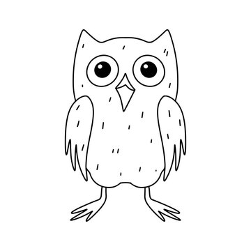 Funny owl. Hand drawn doodle style. Vector illustration isolated on white. Coloring page.