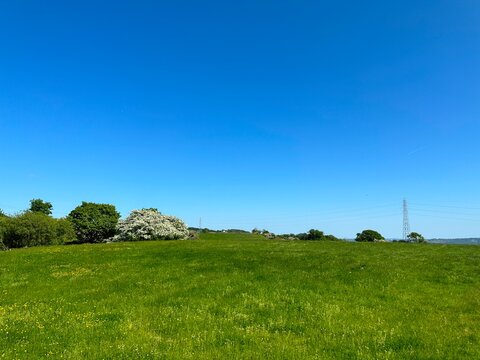Rural landscape, with green fields, and flowering trees, set against a blue sky on, Goose Lane, Hawksworth, UK