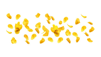 yellow petals isolated on transparent background cutout