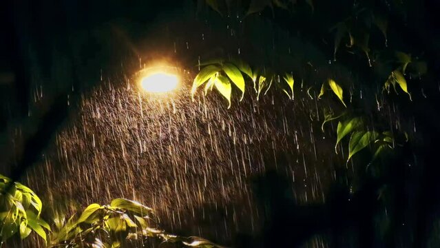 A shot of street light in heavy rain at night in Mumbai.