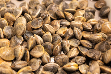 Fresh clams and cockles glistening at the market a seafood lover's delight.