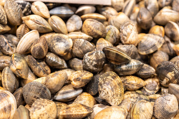 Fresh clams and cockles glistening at the market a seafood lover's delight.