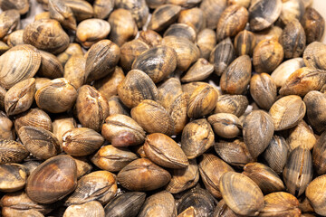 Fresh clams and cockles glistening at the market a seafood lover's delight.