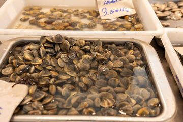 Fresh clams and cockles glistening at the market a seafood lover's delight.