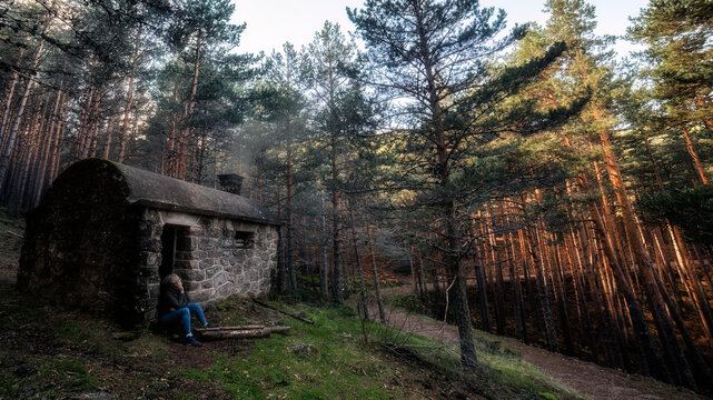 Bosques de Navafria